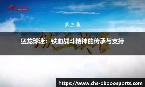 猛龙球迷：铁血战斗精神的传承与支持